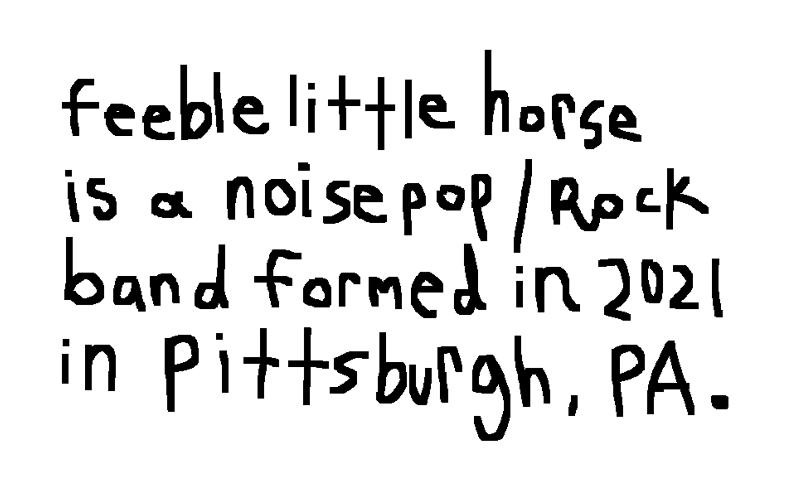 feeble little horse is a noise pop / rock band formed in 2021 in Pittsburgh, PA.